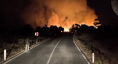 Ekili arazide çıkan yangın ormana sıçramadan söndürüldü