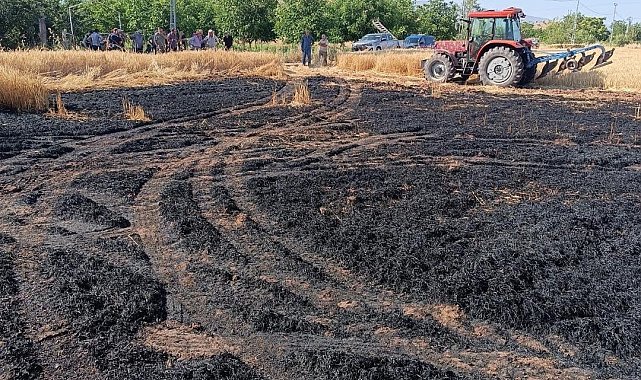 Elazığ'daki ekili tarlada çıkan yangın ekiplerce söndürüldü