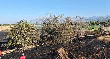Elmaköy'deki tarla yangını büyümeden söndürüldü