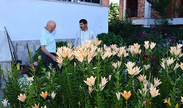 Emekliliğini renk renk çiçek bahçesine dönüştürdü