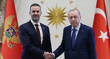 Erdoğan, Karadağ Başbakanı Spajiç'i kabul etti... Türkiye-Karadağ ilişkileri ele alındı