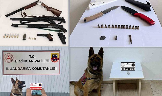 Erzincan'da Haziran ayında 217 olayın yüzde 98'i aydınlatıldı