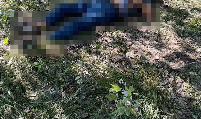 Eskişehir'de bir kişi ağaçlık alanda ölü bulundu