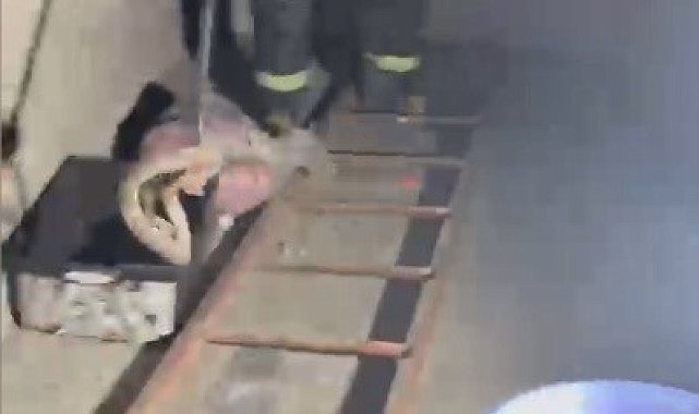Evde görülen zehirli engerek itfaiye ekiplerince yakalandı