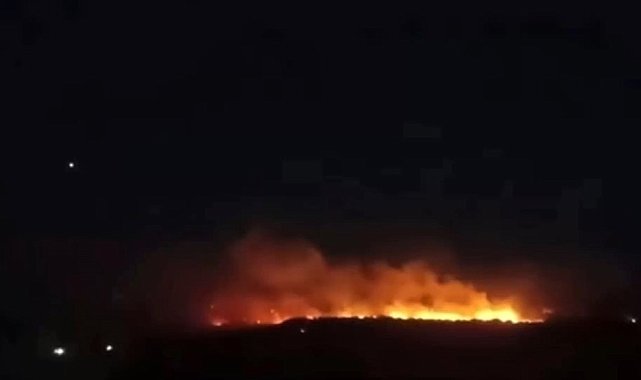 Gaziantep'te orman yangını