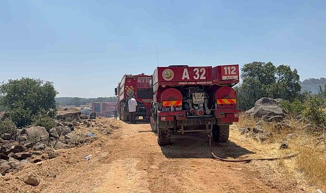 Gaziantep'teki orman yangını kontrol altına alındı