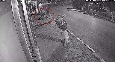 Genç kıza bıçakla dehşeti yaşatmıştı, adli kontrol ile tahliye edildi