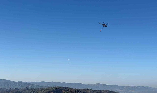 Gömeç, Ayvalık ve Bergama'da binlerce hektar ağacı kül eden yangın kontrol altına alındı