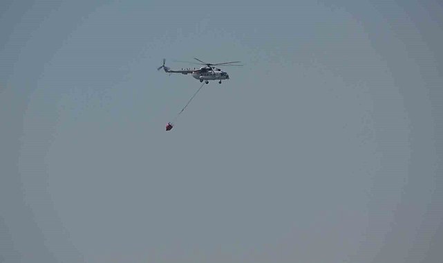 Gömeç ve Ayvalık'ta alevlere havadan müdahale sürüyor