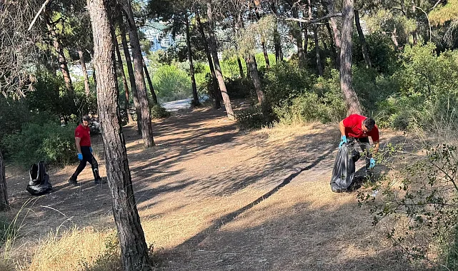 Güzelyalı Çamlıbel'de orman yangını riskine karşı temizlik çalışması