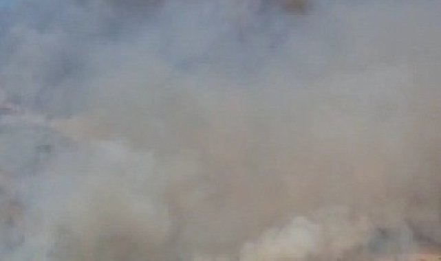 Hierapolis Antik Kent yakınında örtü yangını