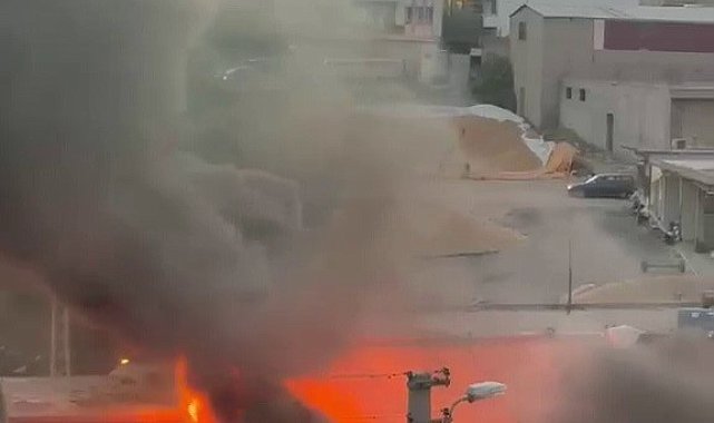 Hurdalık yangını korkuttu