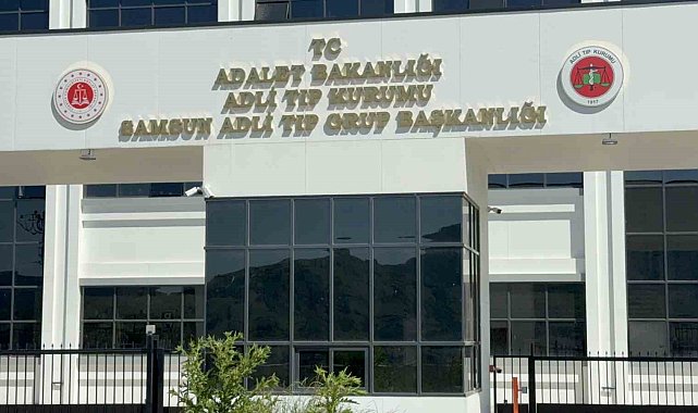 Ihlamur ağacından düşen yaşlı adam hayatını kaybetti