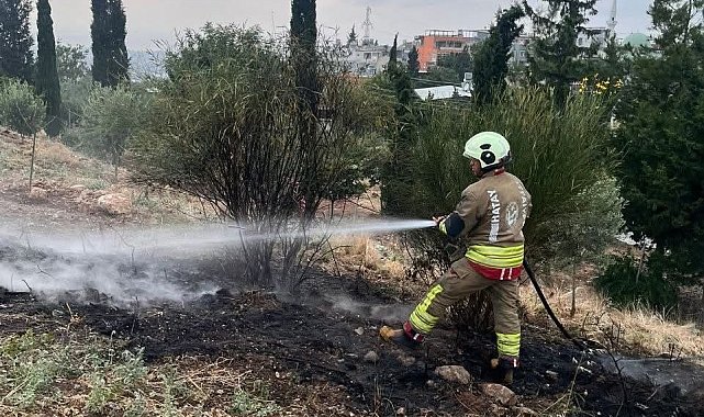 İskenderun'da otluk alan yangını