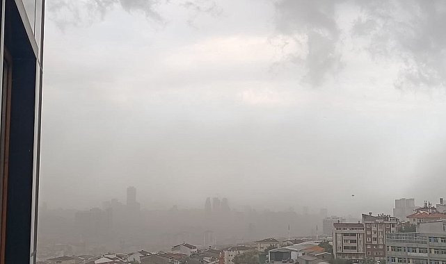 İstanbul'da fırtına etkili oldu, ağaçlar devrildi