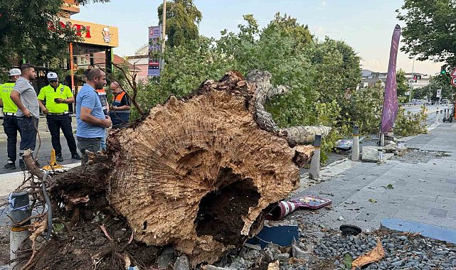 İstanbul'da kısa süreli etkili olan fırtına hasara yol açtı