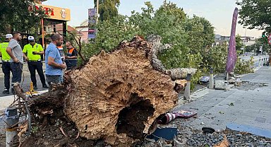 İstanbul'da kısa süreli etkili olan fırtına hasara yol açtı