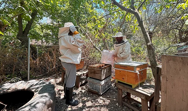 İzmir Bornova'da tarıma can suyu