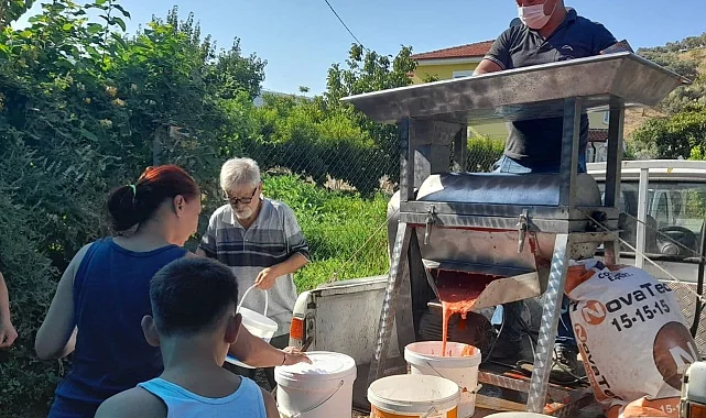 İzmir Efes Selçuk'ta kışlık domates hazırlığı