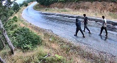 Jandarmanın fotokapanlarıyla 1 yılda bin 847 şüpheli yakalandı