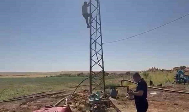 Kaçak trafonun sökülmesini engellemek için elektrik direğine çıktı