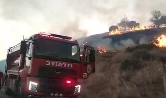 Kahta'da anız yangını köye kadar ulaştı