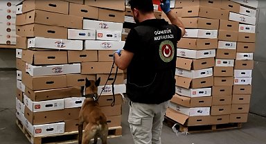 Kapıkule'de tavuk kolilerinden uyuşturucu çıktı: 526 kilo esrar ele geçirildi