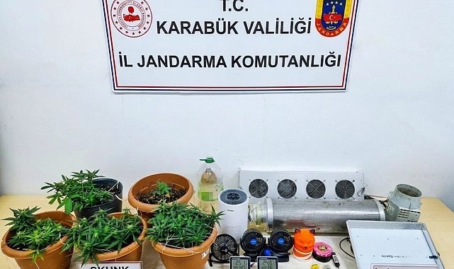 Karabük'te uyuşturucu operasyonu: Skunk serası ortaya çıkarıldı