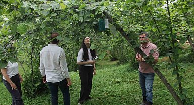 Karadeniz Havzası'nda 3 ülkeden tarımsal iş birliği