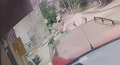 Kardeş katliamının zanlısı teslim oldu