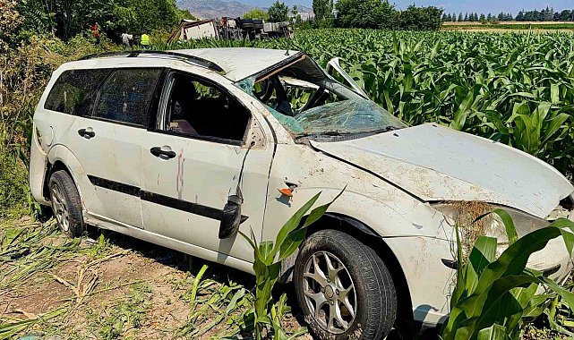 Kargo aracı otomobille çarpıştı: 5 yaralı