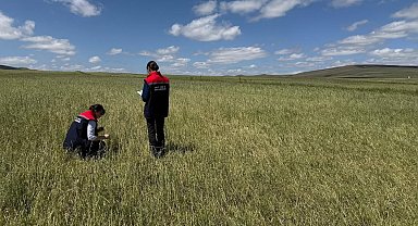 Kars'ta doğal afet sonrası seferberlik: Tarım ekipleri hasar tespiti için sahada