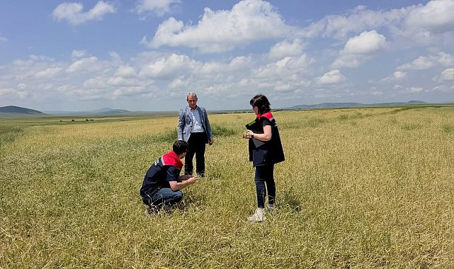 Kars'ta fırtına ve dolu sonrası hasar tespit çalışmaları başladı