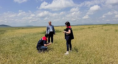 Kars'ta fırtına ve dolu sonrası hasar tespit çalışmaları başladı