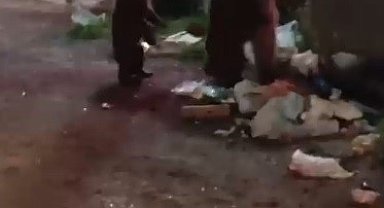 Kars'ta vatandaş ayılara türkü söyledi, o anlar sosyal medyayı salladı