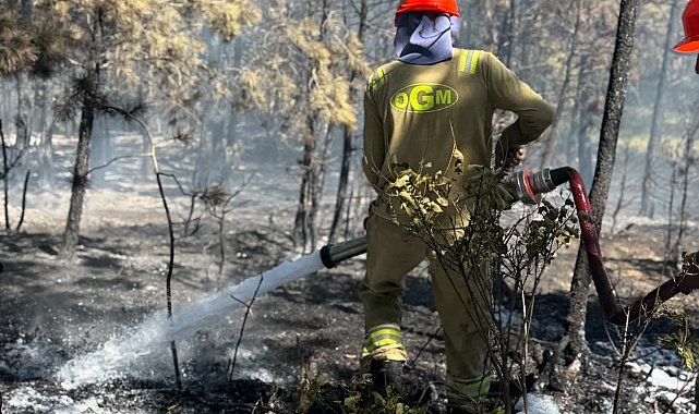 Kastamonu'daki orman yangını söndürüldü