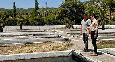 Kaymakam Sözen, tarım müdürlüğü ve su ürünleri işletmesinde incelemelerde bulundu