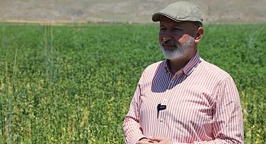 Kayseri Kocasinan'da toprağın bereketi sofralara taşınıyor