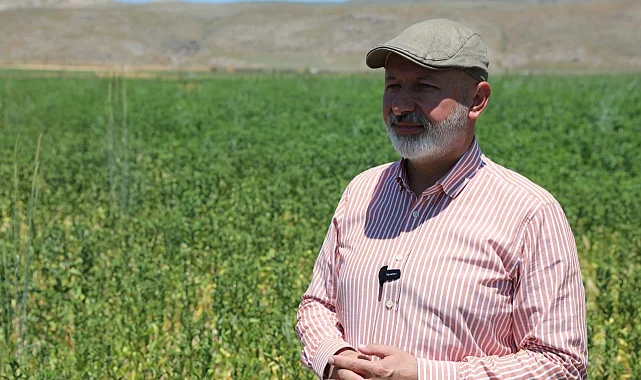 Kayseri Kocasinan'da toprağın bereketi sofralara taşınıyor