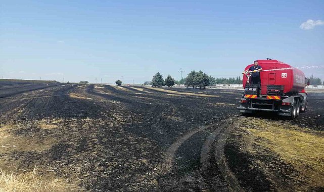 Keşan'da çıkan yangında 12 dönüm buğday ekili alan zarar gördü