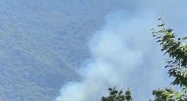 Kestel'de orman yangını
