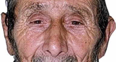 Kestiği ağacın altında kalan yaşlı adam hayatını kaybetti