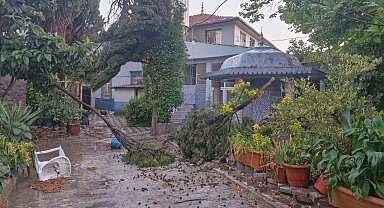 Kırkağaç'ta fırtına hayatı olumsuz etkiledi