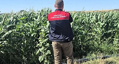 Kırklareli'de tarım arazileri tek tek kontrol ediliyor