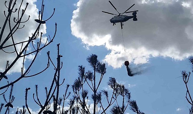 Kırklareli'deki orman yangını söndürüldü: 35 dekar alan zarar gördü