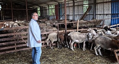 Kocaeli'nde hayvancılığa bütüncül destek