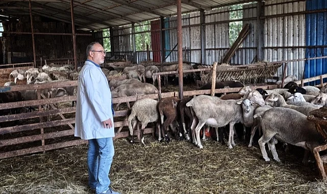 Kocaeli'nde hayvancılığa bütüncül destek