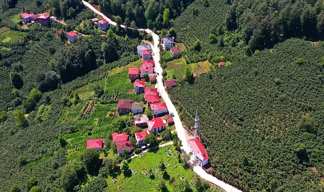Köy yollarına beton destek