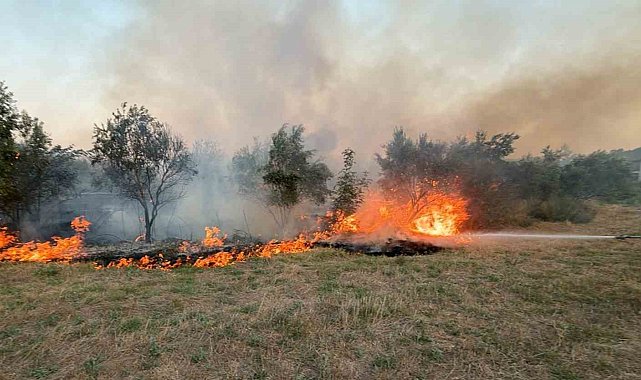 Köyceğiz ilçesindeki ot yangını söndürüldü