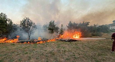 Köyceğiz ilçesindeki ot yangını söndürüldü